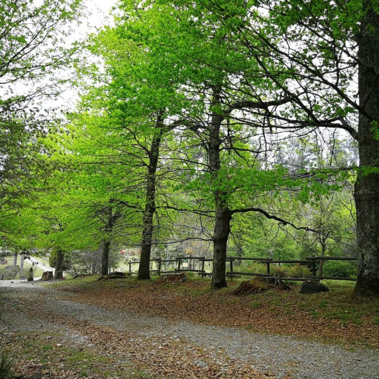 81935042 104064874402387 744459235693746836 n 768x768