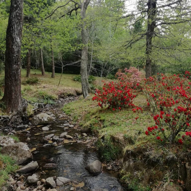 82484521 1794582720666263 432405230432633179 n 768x768