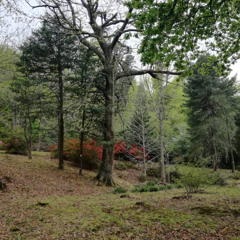 84237859 168645567804349 1172096793423336690 n 768x768