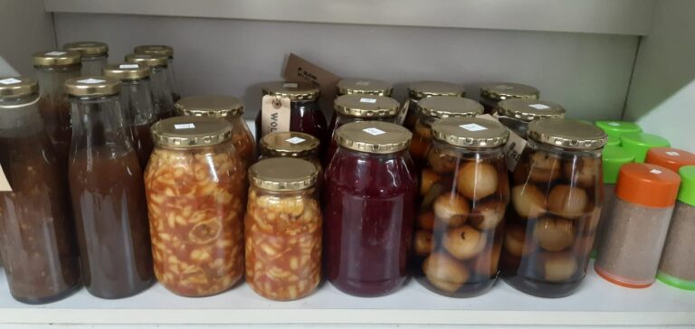 87489921 144944420313823 8799429146645102592 o 768x364