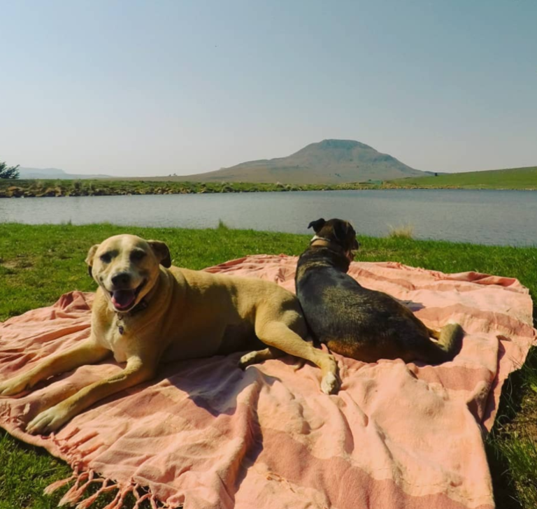 Fishing elandsberg3 768x728