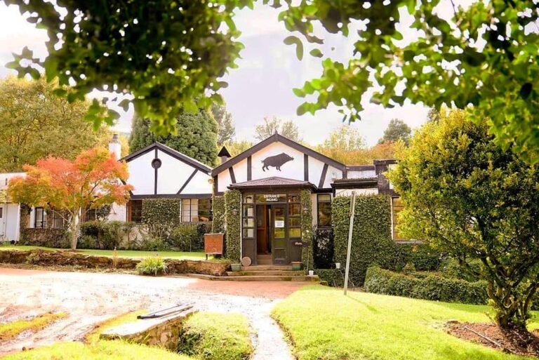 131424553 3805783782794118 2326755144386913381 o 1 768x513