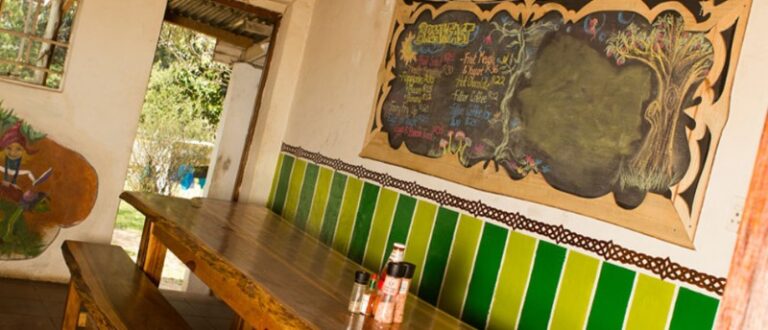 2156 Away with the fairies hogsback5 1 768x330