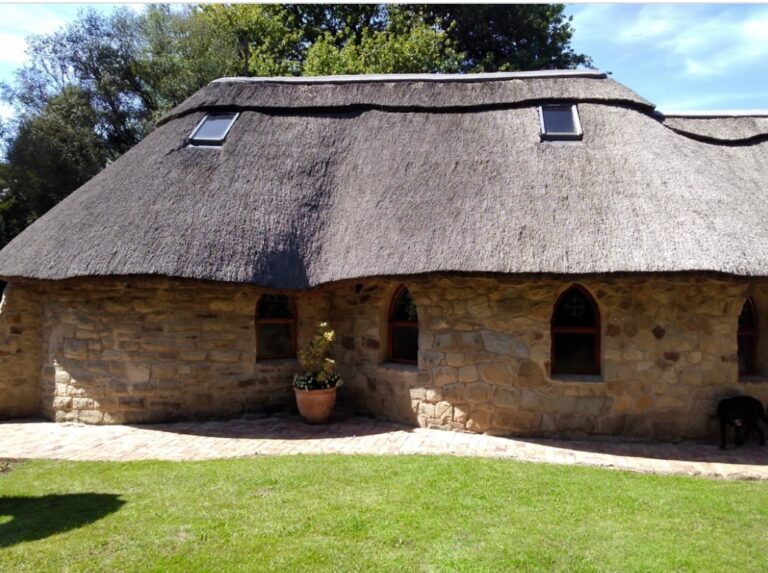 Oz Miles st p 1 768x573