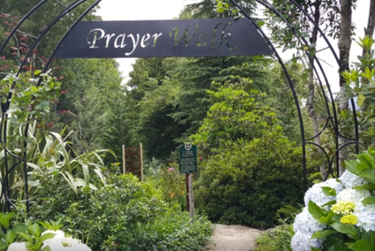 Prayer Trial 1 768x515