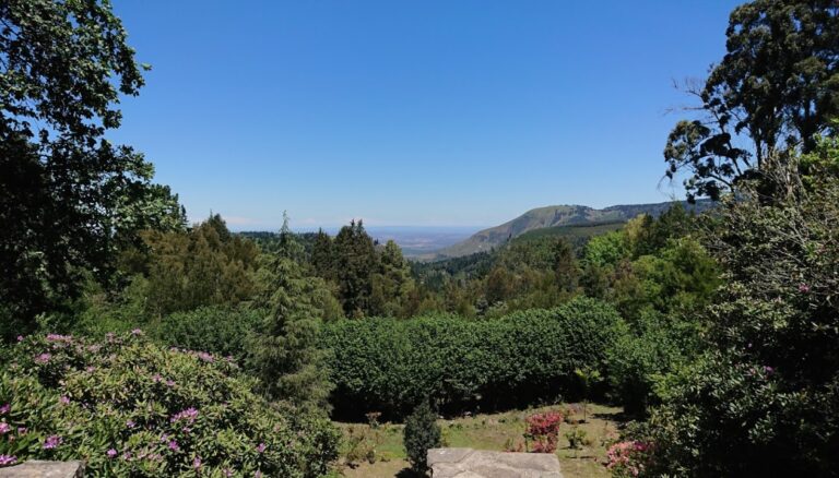 Samuel Vorster st p 2 1 768x438