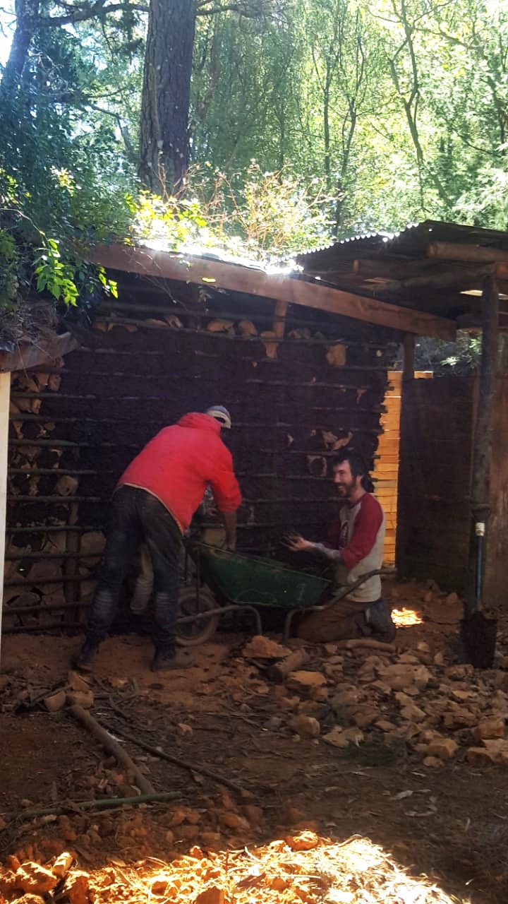 WhatsApp Image 2020 10 16 at 11.23.48