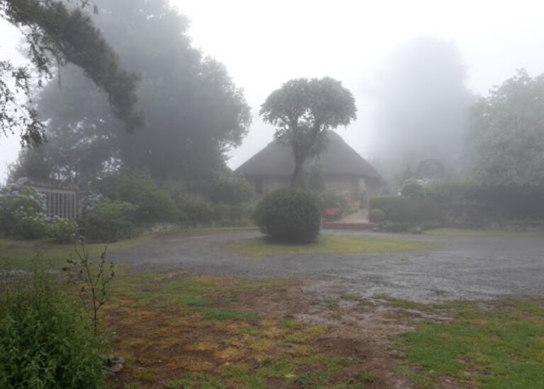 st p Dennis Dwain Goodwin 768x550