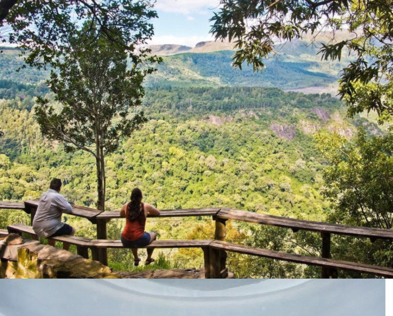 wizard sleeve pub food p 768x618