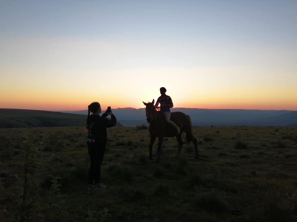 River Running Horses for Healing