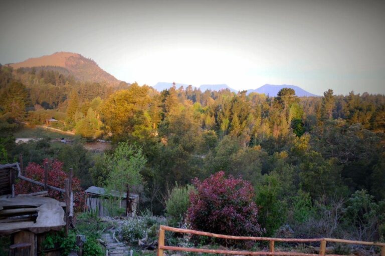 IMG 20171003 WA0023 768x511