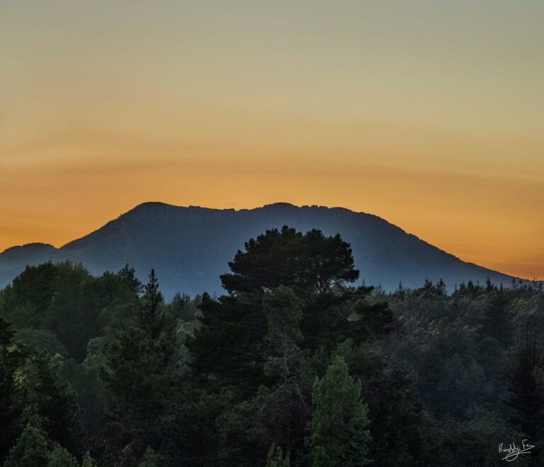 IMG 20171106 WA0015 768x659