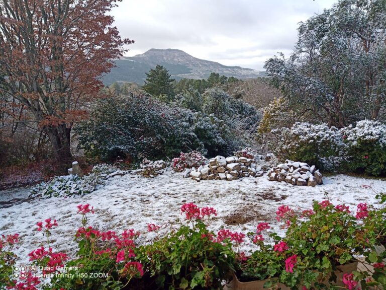 WhatsApp Image 2021 09 18 at 10.39.27 768x576