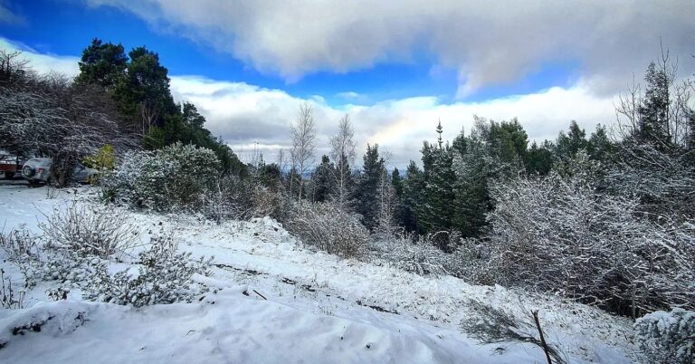 fourfields snow 2 768x402