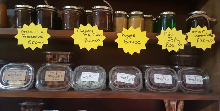 162720435 288372379304359 8295575012959265792 n 768x390