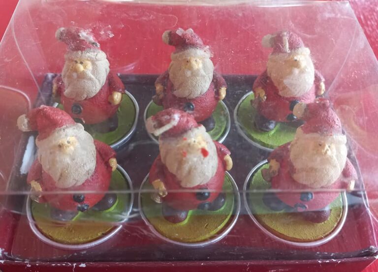 267503615 309362057866687 5372956142768584056 n 768x553