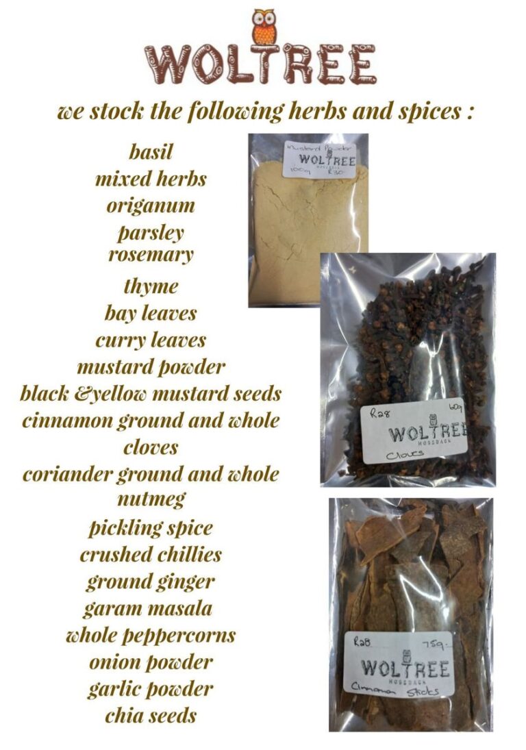 267546876 307264748076418 2871177075160902923 n 768x1095