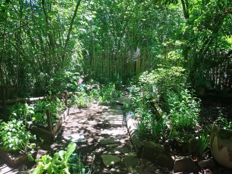 IMG 20211110 132344 768x576