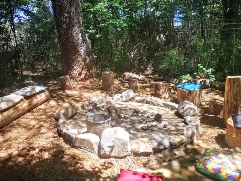 IMG 20211110 132401 768x576