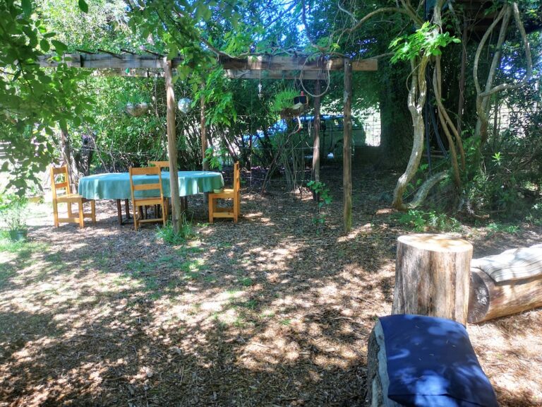 IMG 20211110 132403 768x576