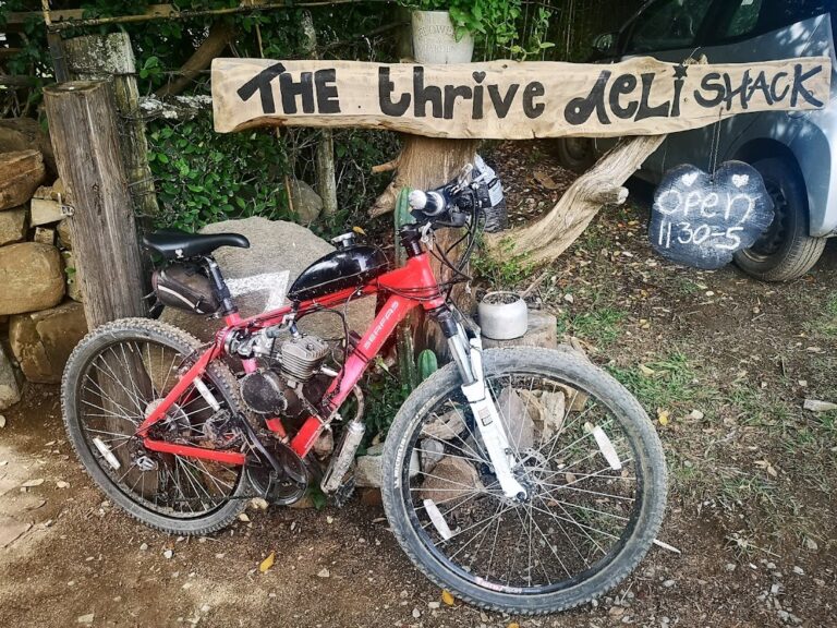 IMG 20211110 145625 1 768x576