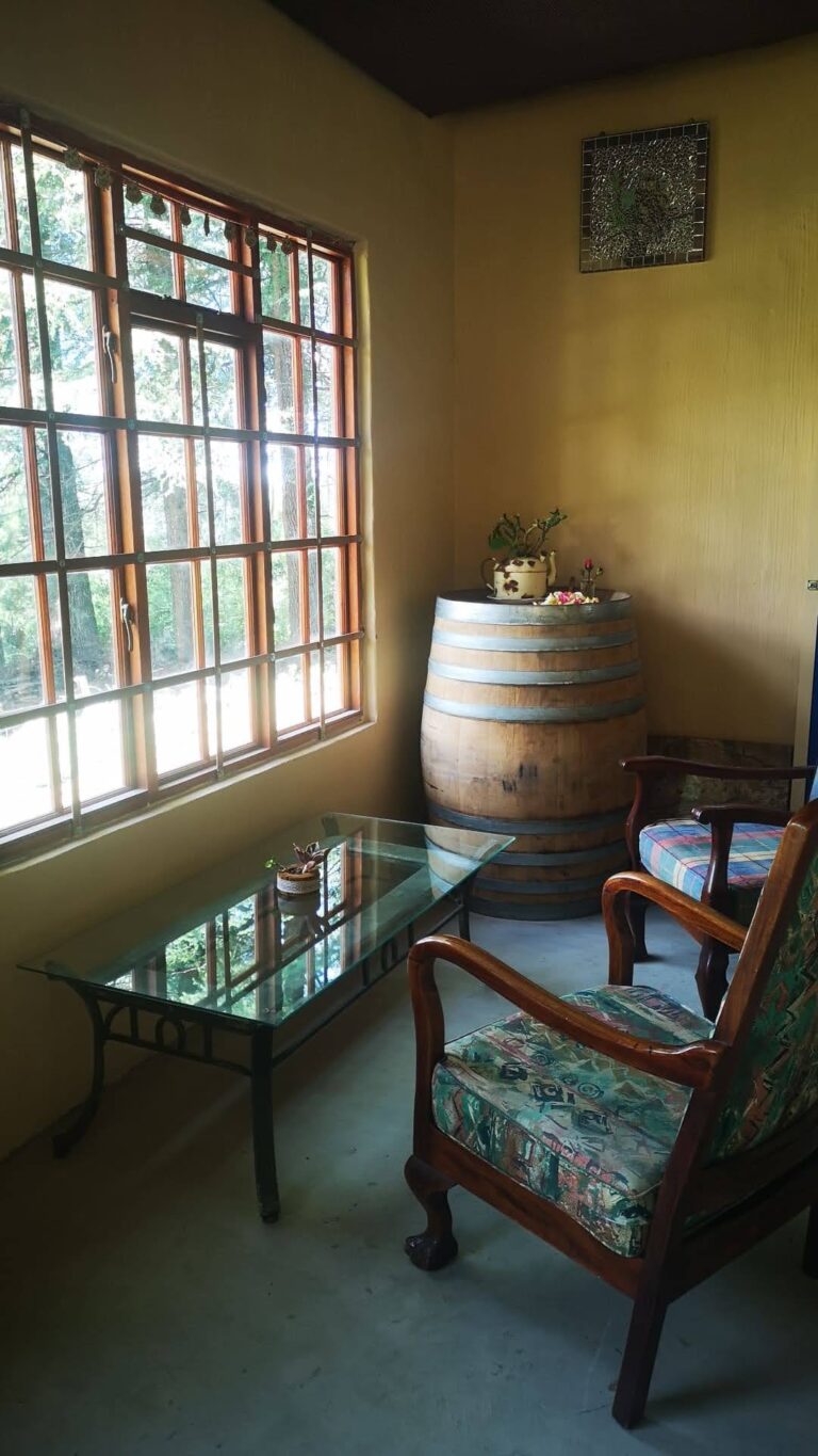 IMG 20211203 201725 919 768x1365