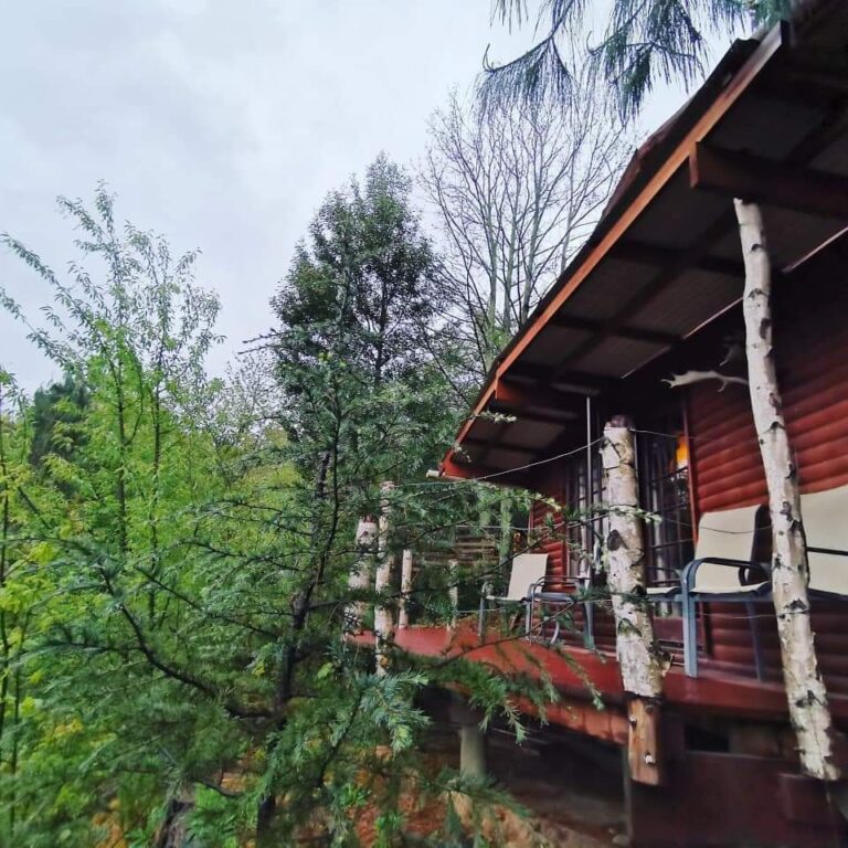 FB IMG 1632164206492 768x768