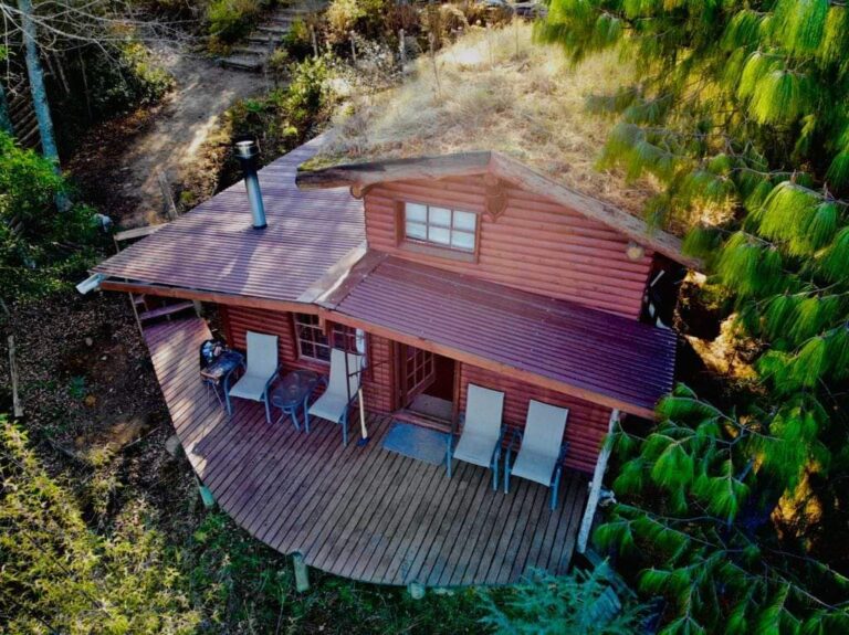 FB IMG 1632164327016 768x575