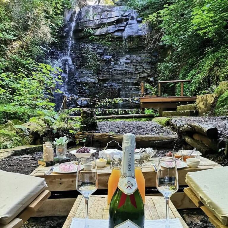 FB IMG 1654071852139 768x768