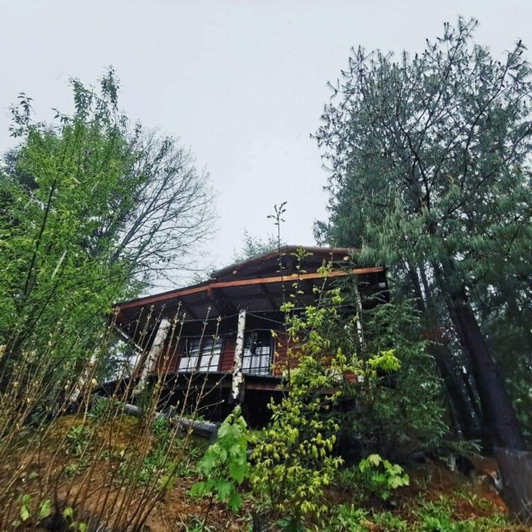 FB IMG 1654071856387 768x768