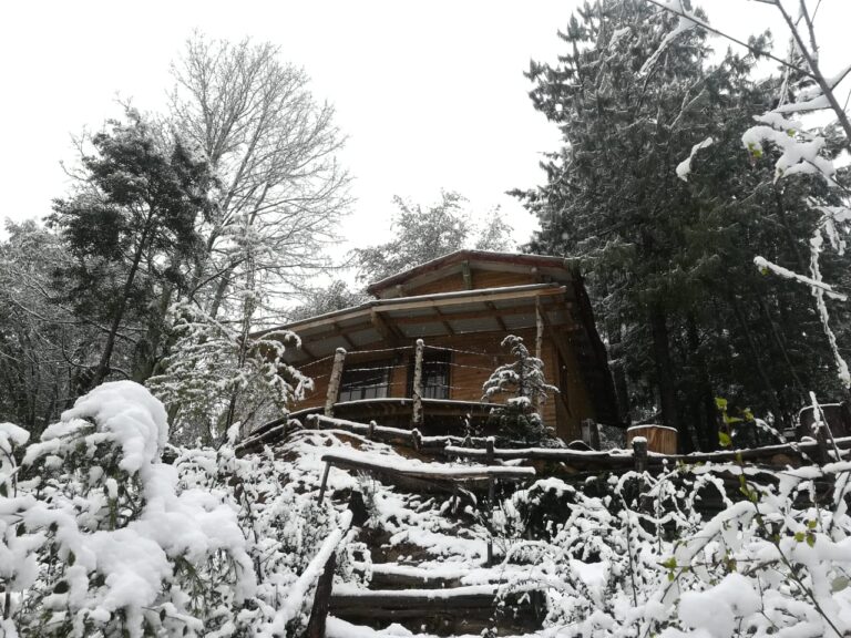 IMG 20180909 WA0006 768x576