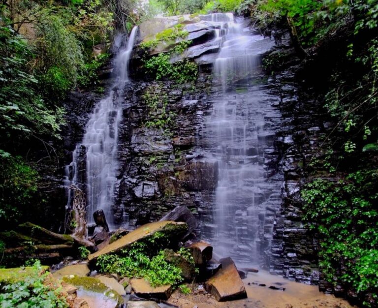 IMG 20210724 WA0036 768x626