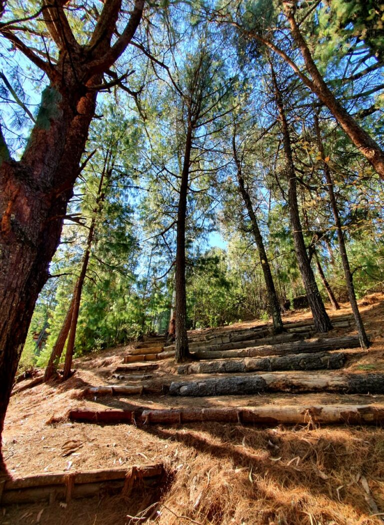 IMG 20210724 WA0038 1 768x1051