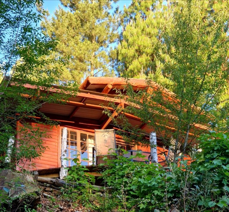 IMG 20220112 WA0115 768x713