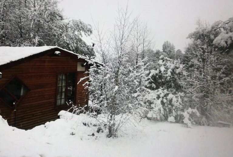 WhatsApp Image 2021 08 25 at 4.40.52 PM 1 768x517