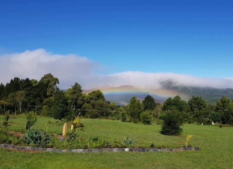 48f70c0b fe2e 443b a0da 9aedabf2aef6 768x557