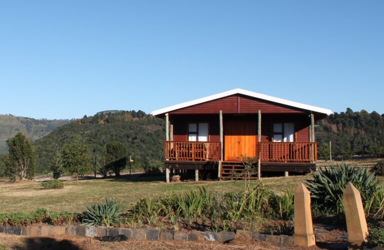 IMG 4219 zoom 768x500