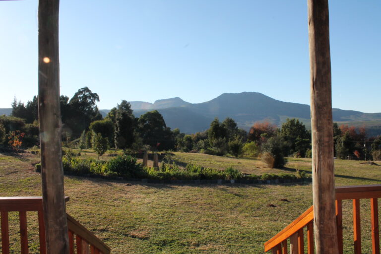 View From Cottage 768x512