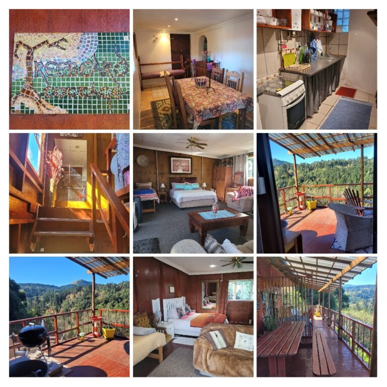 20220521 134832 COLLAGE 768x768