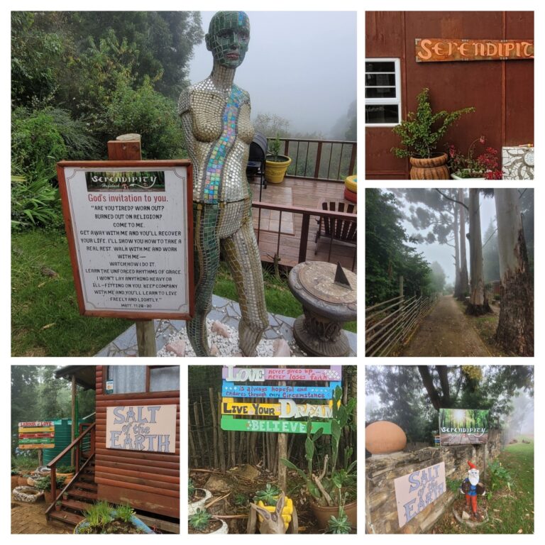 20230114 135548 COLLAGE 768x768