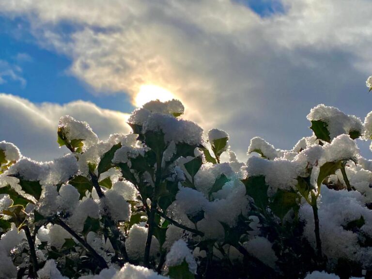 Serendipity snow 2 768x576