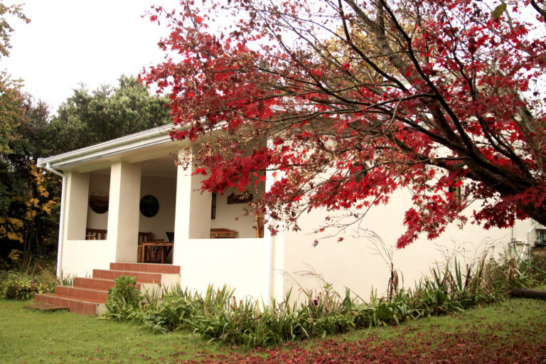 2. Khayalethu Cottage 768x512