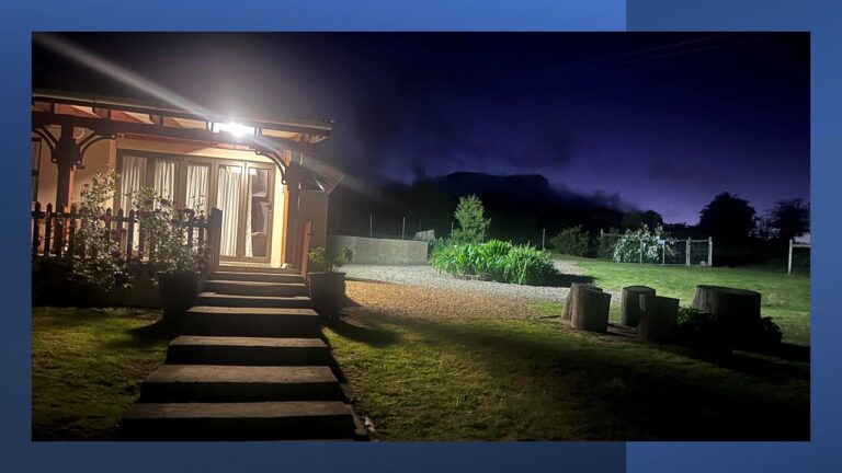 Slide11 1 768x432