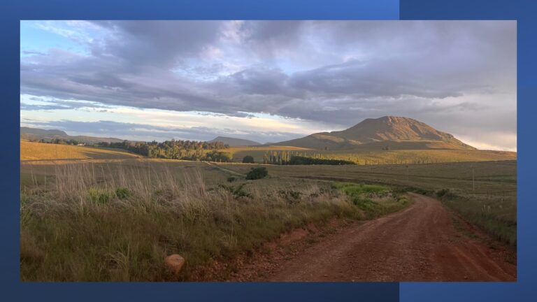 Slide12 1 768x432