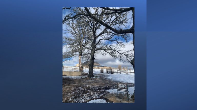 Slide16 1 768x432