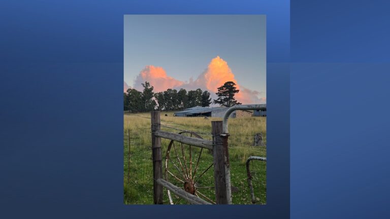 Slide17 1 768x432