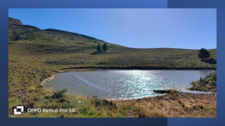 Slide19 1 768x432