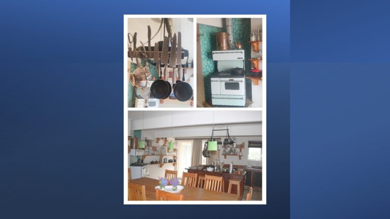Slide19 768x432