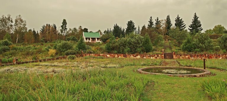Trengwainton Garden2 768x344