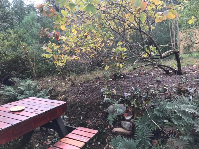 IMG 20240610 WA0018 768x575